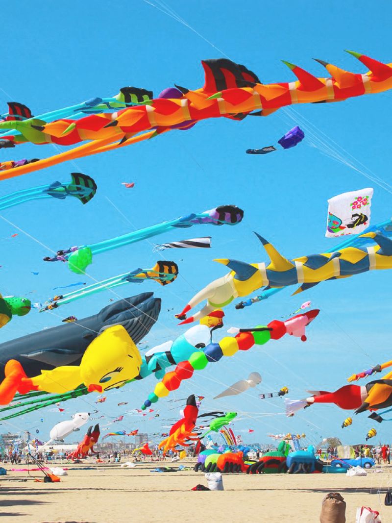 offerta Hotel Vela MiMa